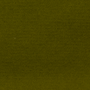 Olive 16 oz